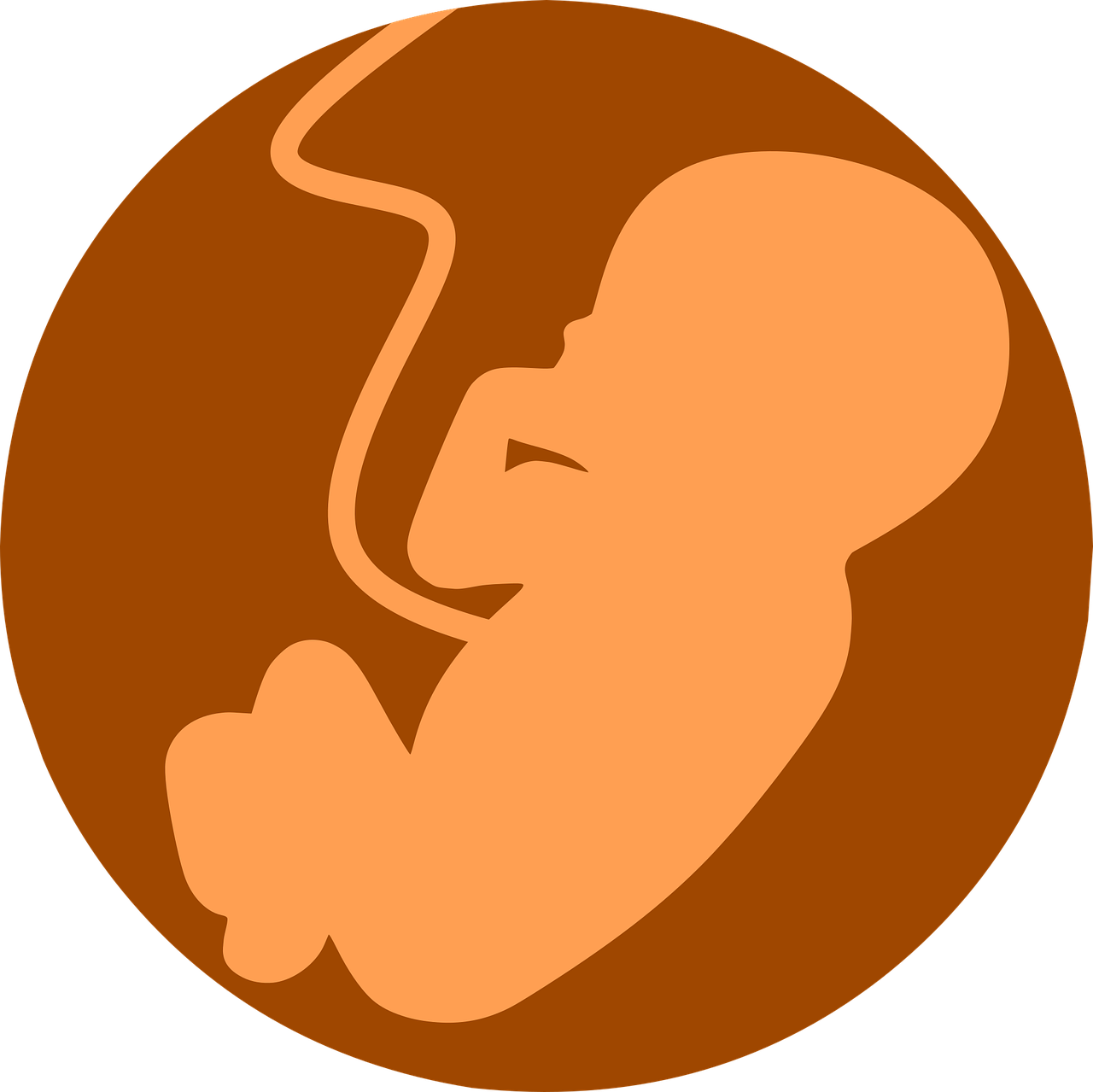 fetus, foetus, embryo icon