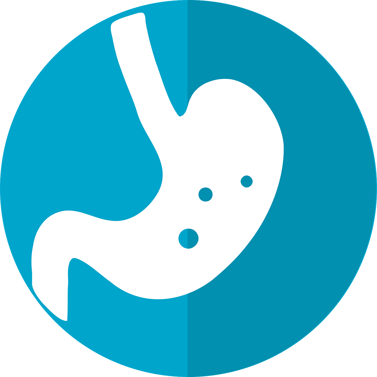 Digestive, stomach icon