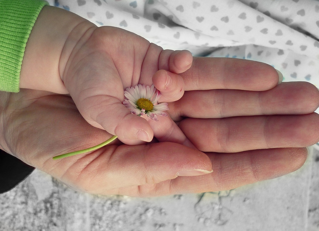 Baby's hand holding a small white flower, sitting on top of the mother's hand